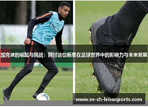 加克波的崛起与挑战：探讨这位新星在足球世界中的影响力与未来发展