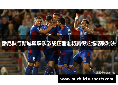 悉尼队与新城堡联队激战正酣谁将赢得这场精彩对决